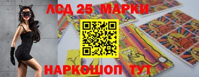 стафф Моздок