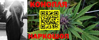 стафф Моздок